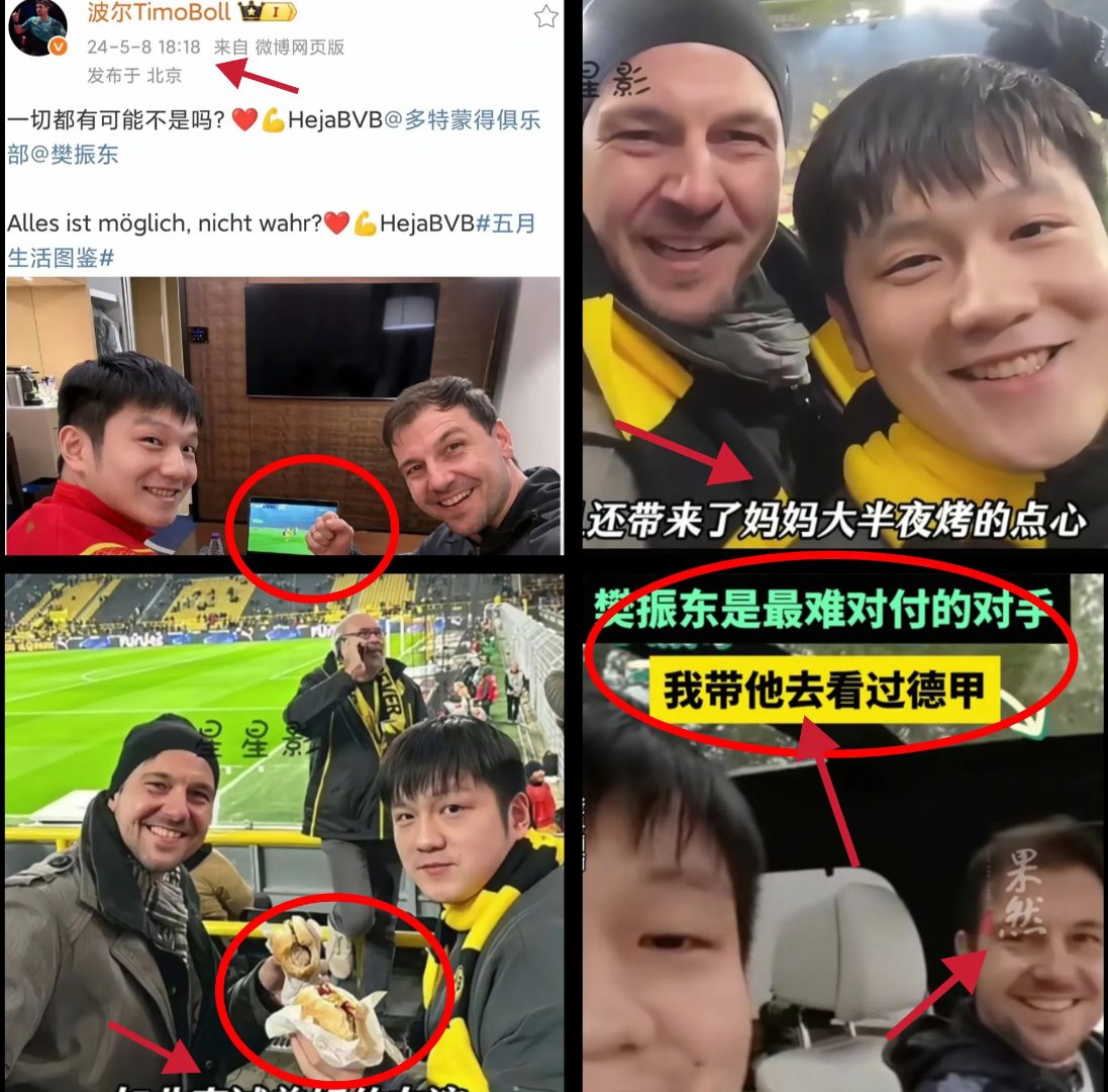 奥地利乒乓球队力克中国乒乓球队,波尔送出助攻 奥地利乒乓球队力克中国乒乓球队,波尔送出助攻