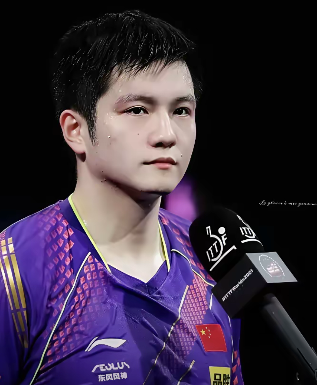 包含法国队轻取瑞典队，樊振东统治全场的词条